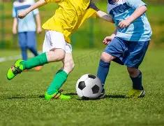 澳超专家分,火热状态解,比分胜负详,好博体育官网,APP下载,注册领彩金,官方网站,网站入口