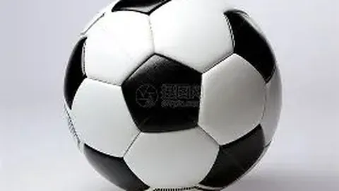 浙江男篮：吴前休战一月 巴斯回国照护新生宝宝